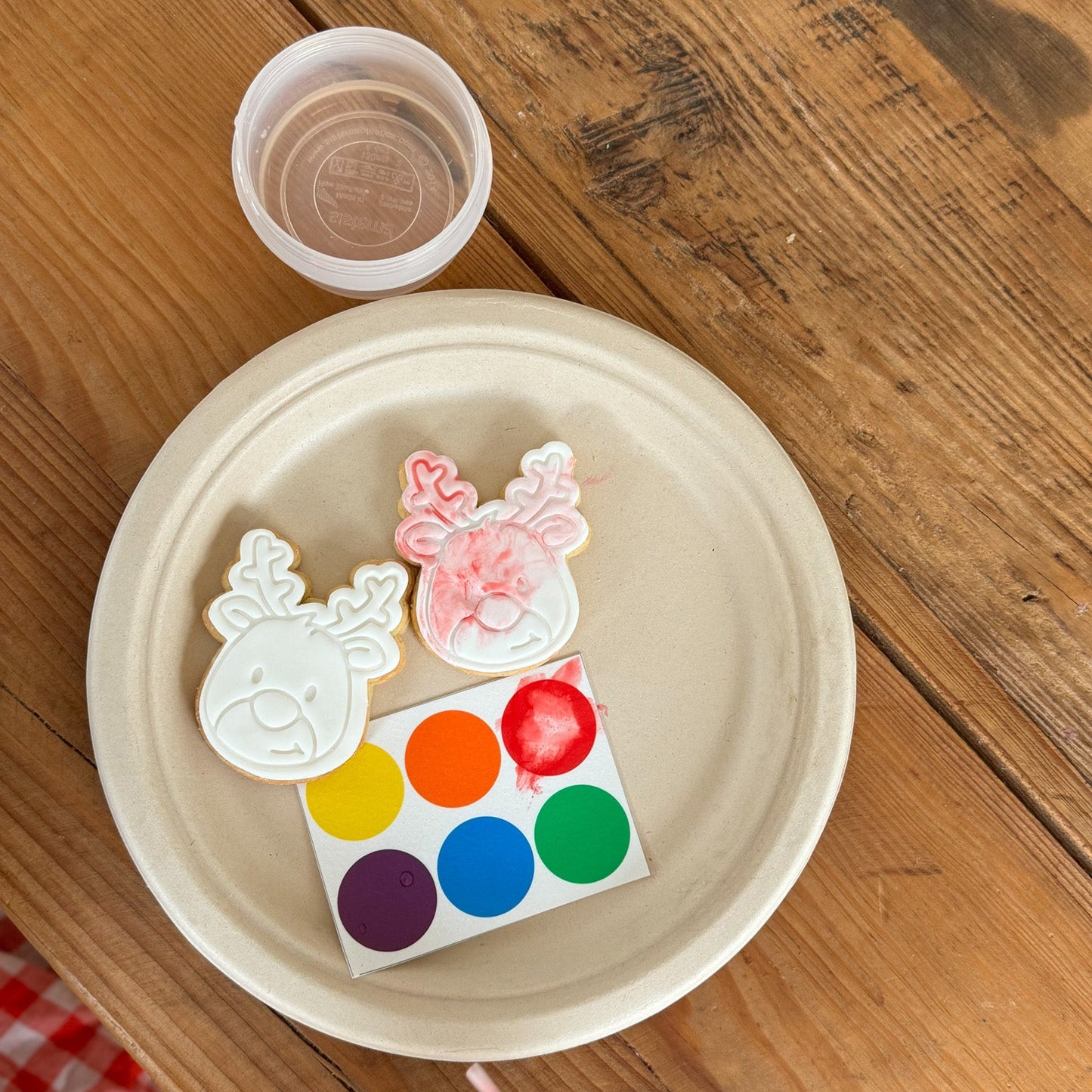 Paint Your Own Cookies | Christmas pack