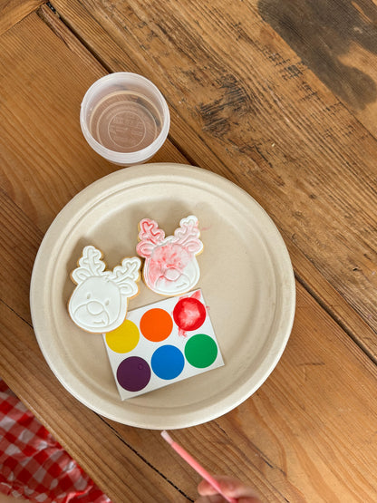 Paint Your Own Cookies | Christmas pack