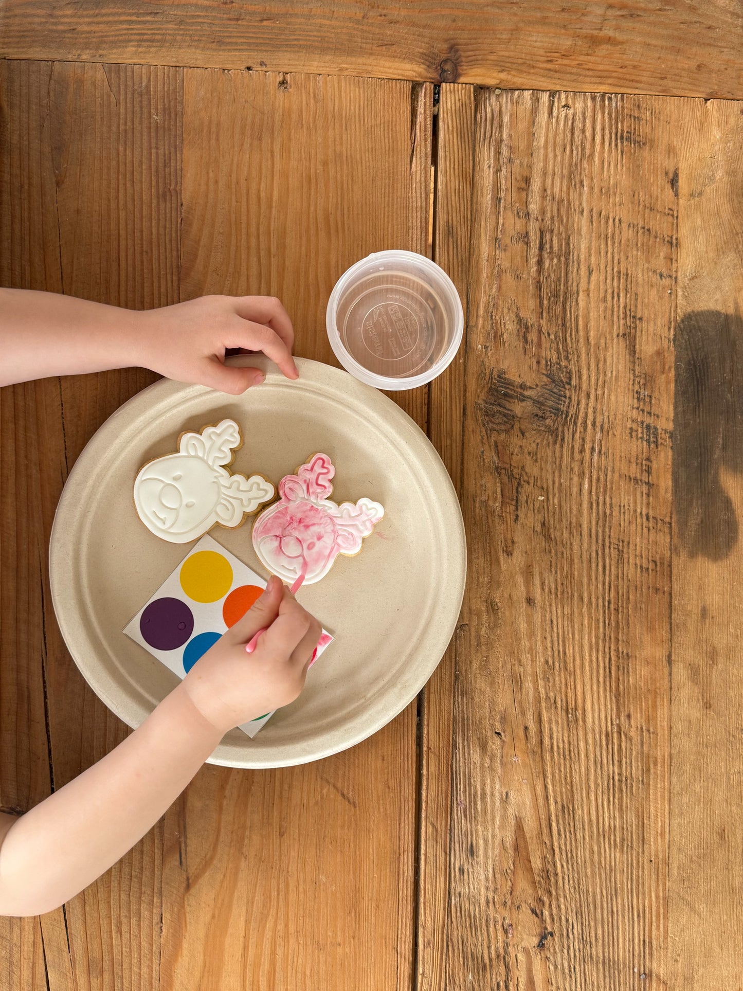 Paint Your Own Cookies | Easter pack