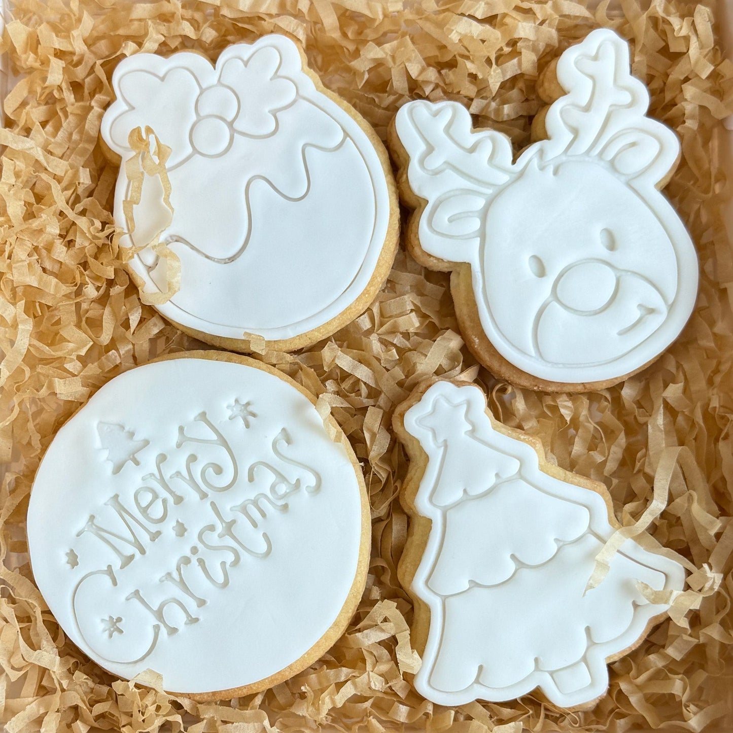 Paint Your Own Cookies | Christmas pack