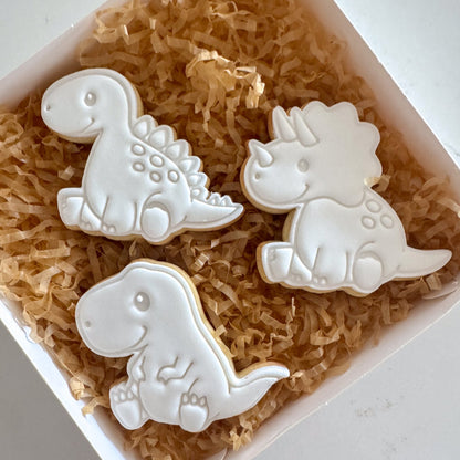 Paint Your Own Cookies | Dinosaur pack